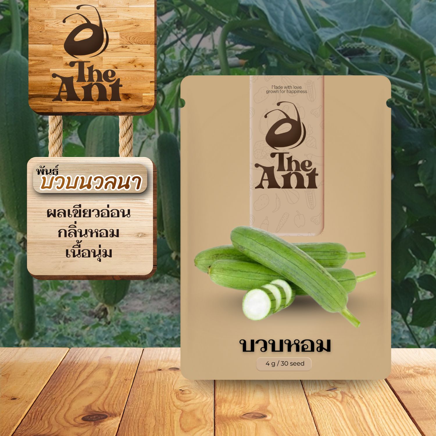 เมล็ดพันธุ์บวบหอม บวบนวลนา