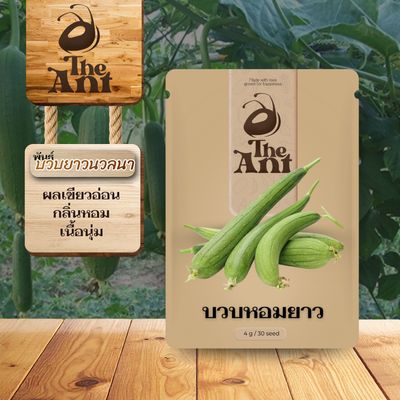 เมล็ดพันธุ์บวบหอมยาว