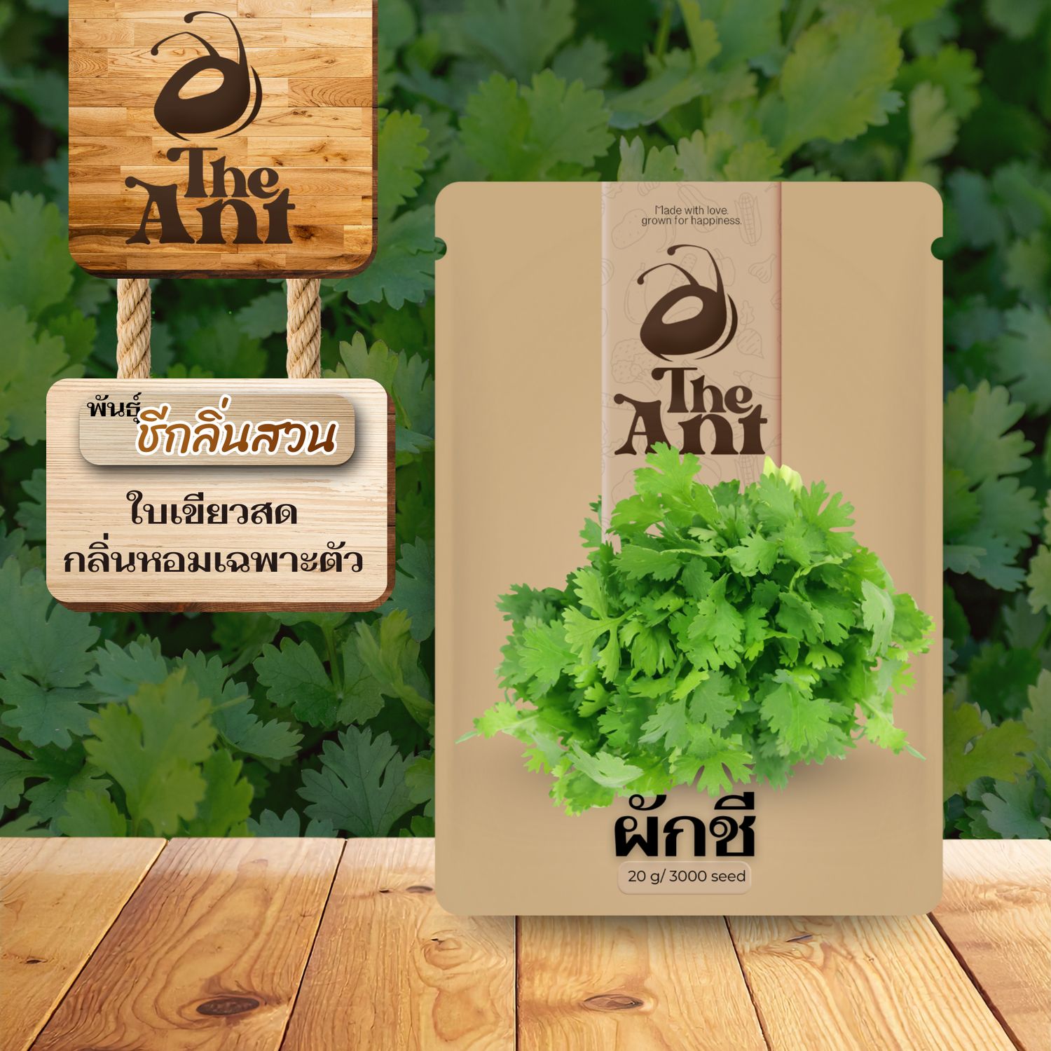 เมล็ดพันธุ์ผักชี ชีกลิ่นสวน