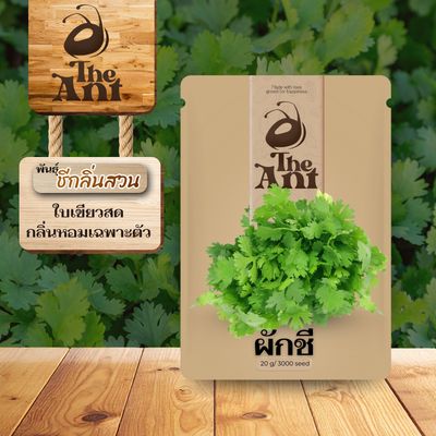 เมล็ดพันธุ์ผักชี ชีกลิ่นสวน