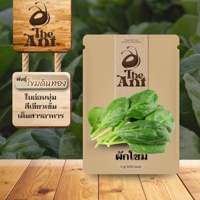 เมล็ดพันธุ์ผักโขม