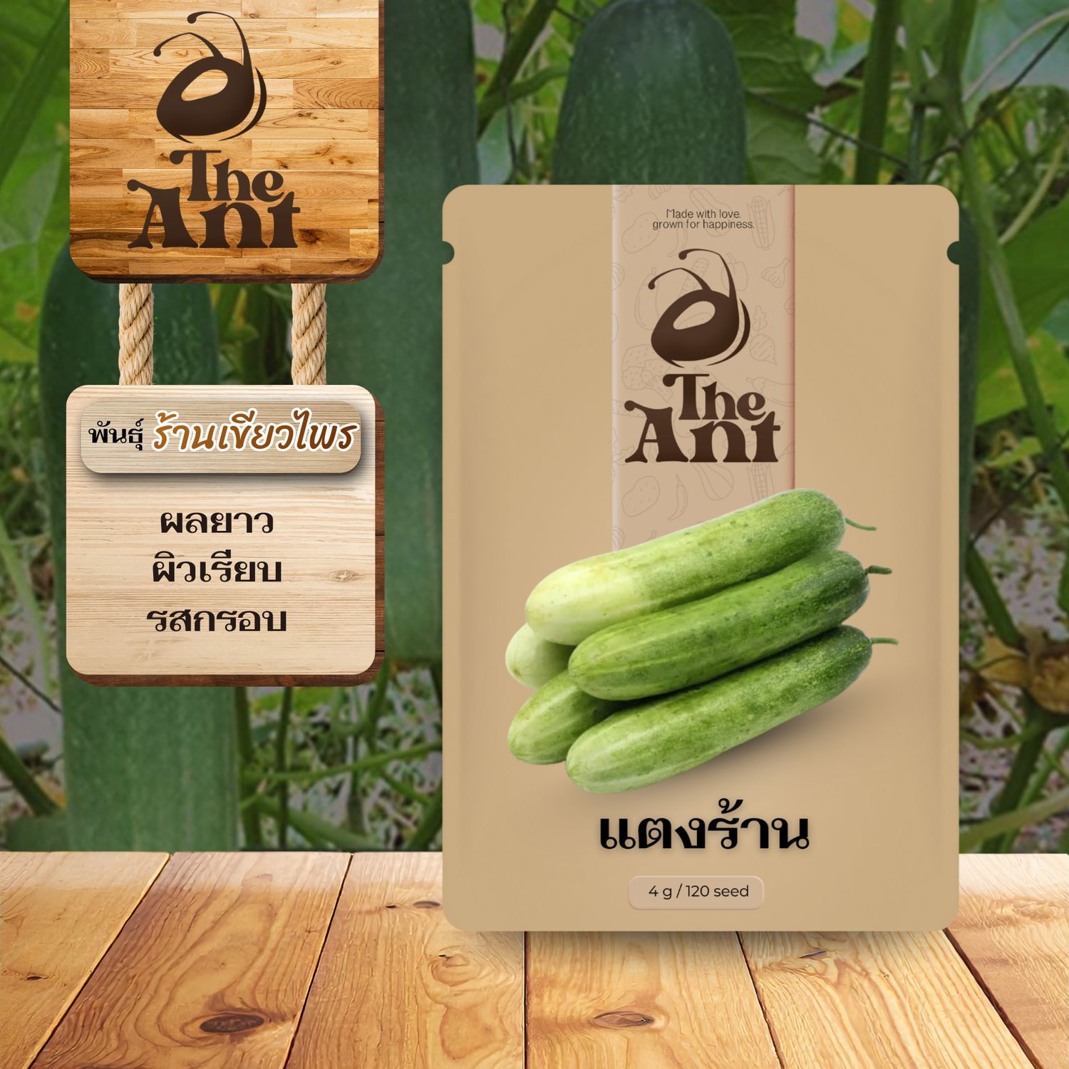 เมล็ดพันธุ์แตงร้าน ร้านเขียวไพร