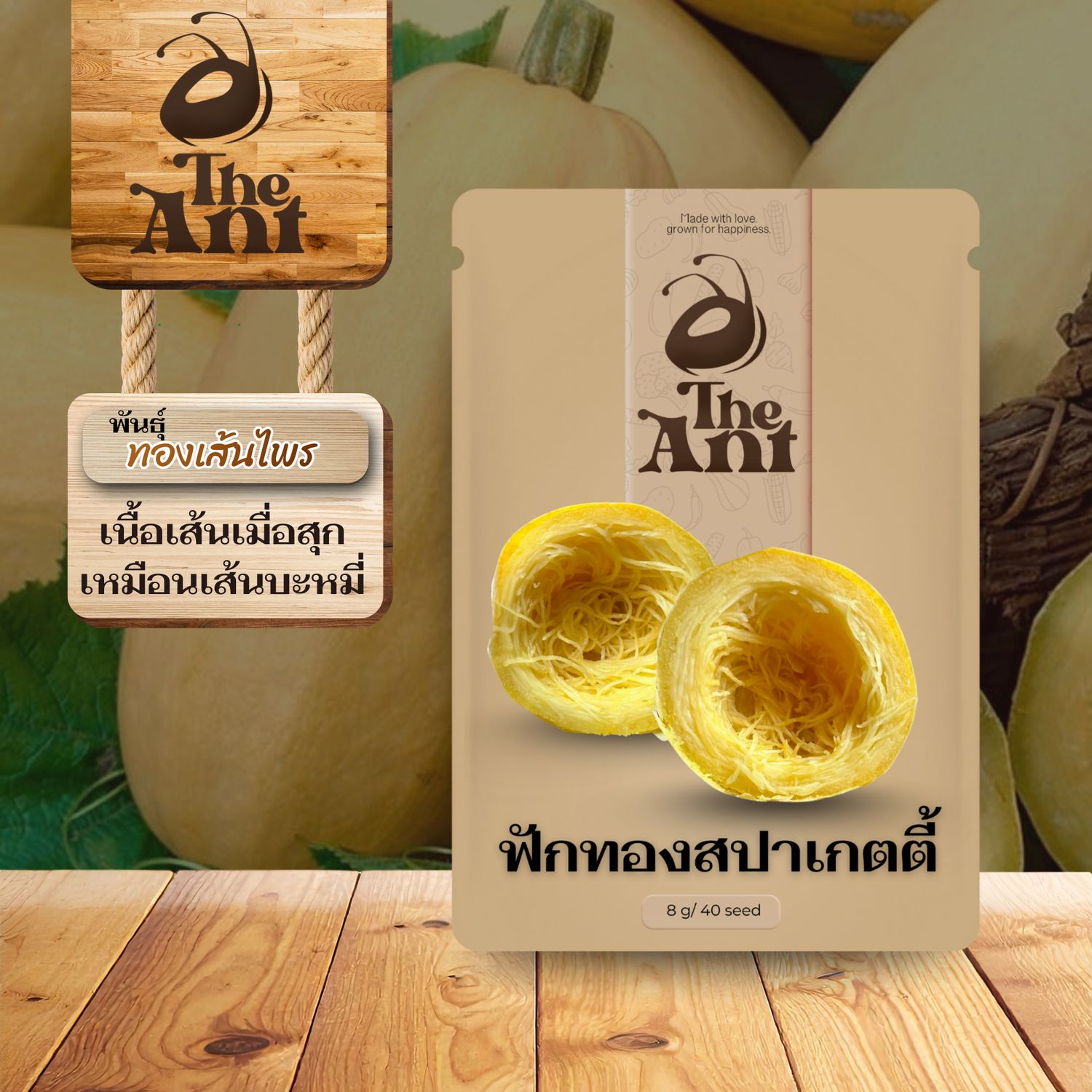 เมล็ดพันธุ์ฟักทองสปาเกตตี้ ทองเส้นไพร