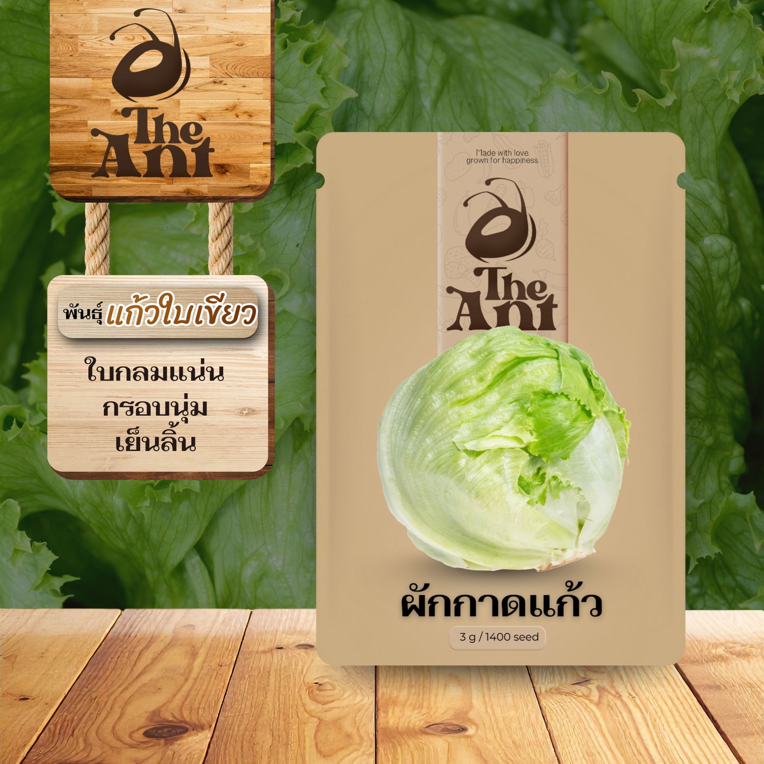 เมล็ดพันธุ์ผักกาดแก้ว แก้วใบเขียว