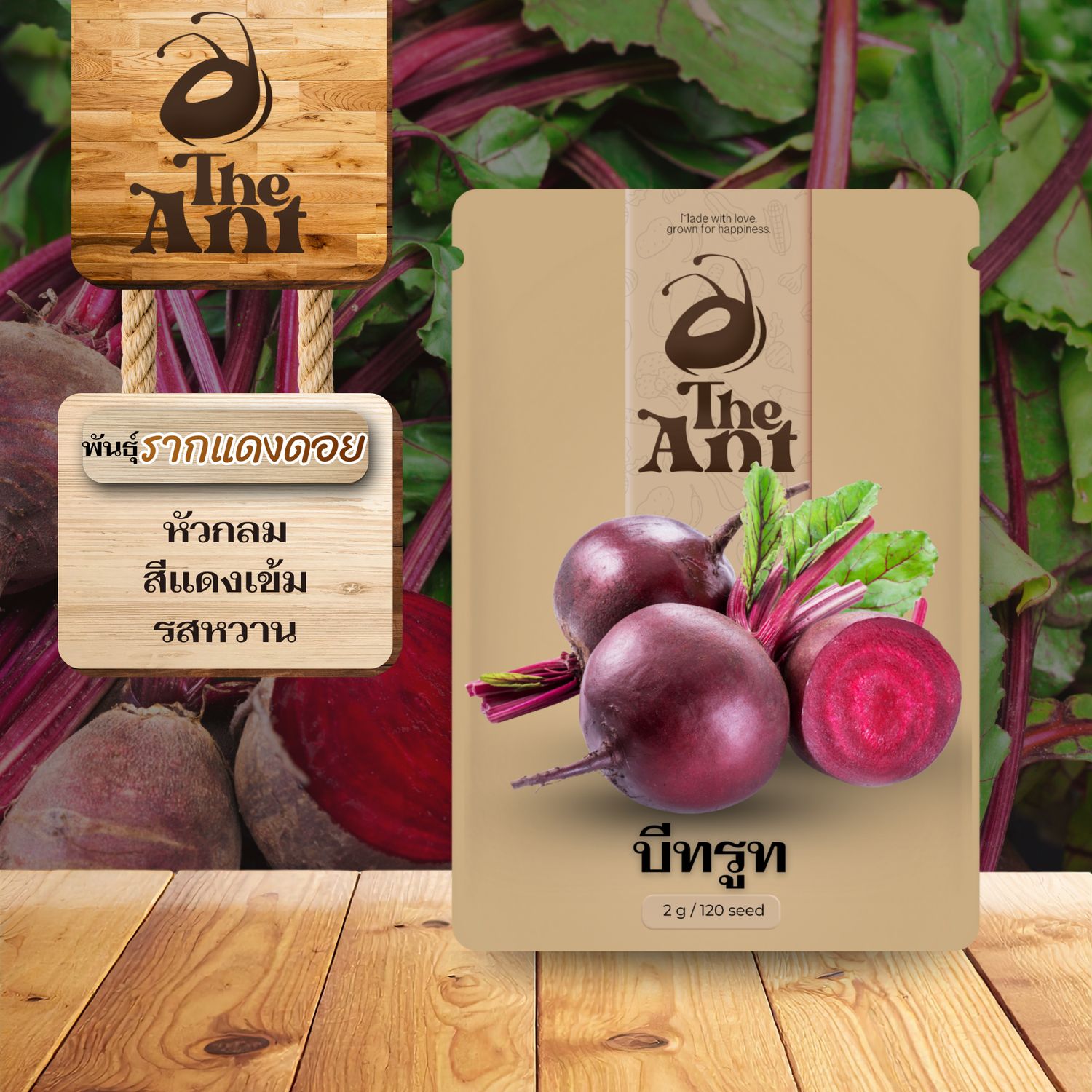 เมล็ดพันธุ์บีทรูท รากแดงดอย