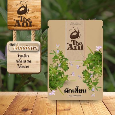 เมล็ดพันธุ์ผักเสี้ยน เสี้ยนสันเขา