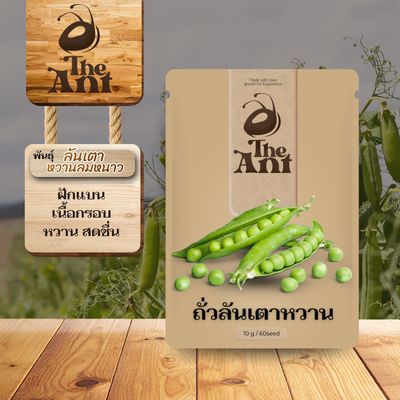 เมล็ดพันธุ์ถั่วลันเตาหวาน