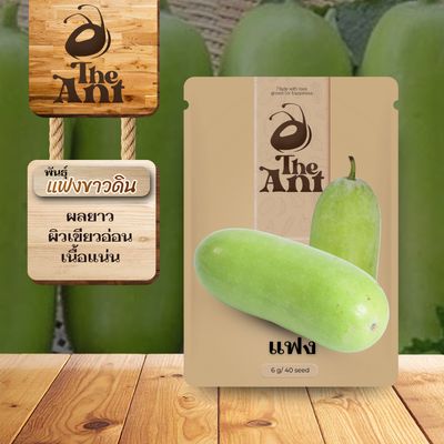 เมล็ดพันธุ์แฟง แฟงขาวดิน