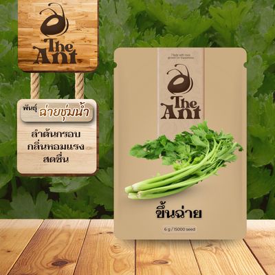 เมล็ดพันธุ์คื่นฉ่าย ฉ่ายชุ่มน้ำ