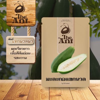 เมล็ดพันธุ์มะละกอแขกนวล แขกนวลนา