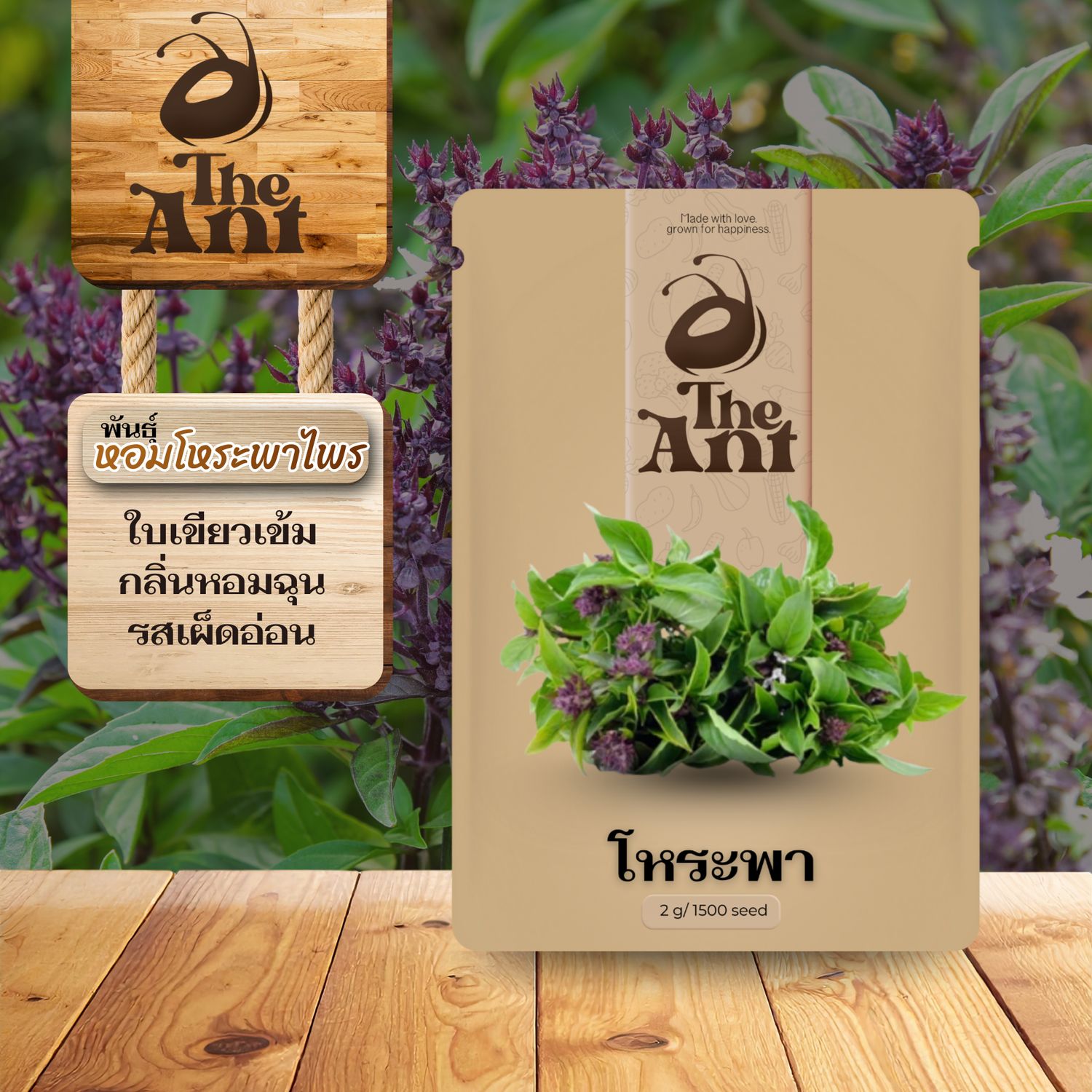 เมล็ดพันธุ์โหระพา หอมโหระพาไพร