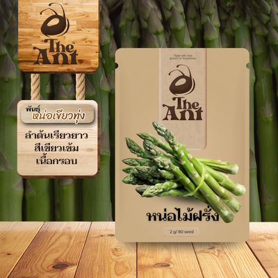 เมล็ดพันธุ์หน่อไม้ฝรั่ง หน่อเขียวทุ่ง