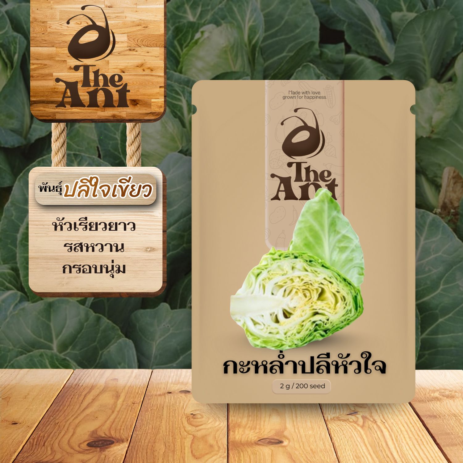 เมล็ดพันธุ์กะหล่ำหัวใจ ปลีใจเขียว