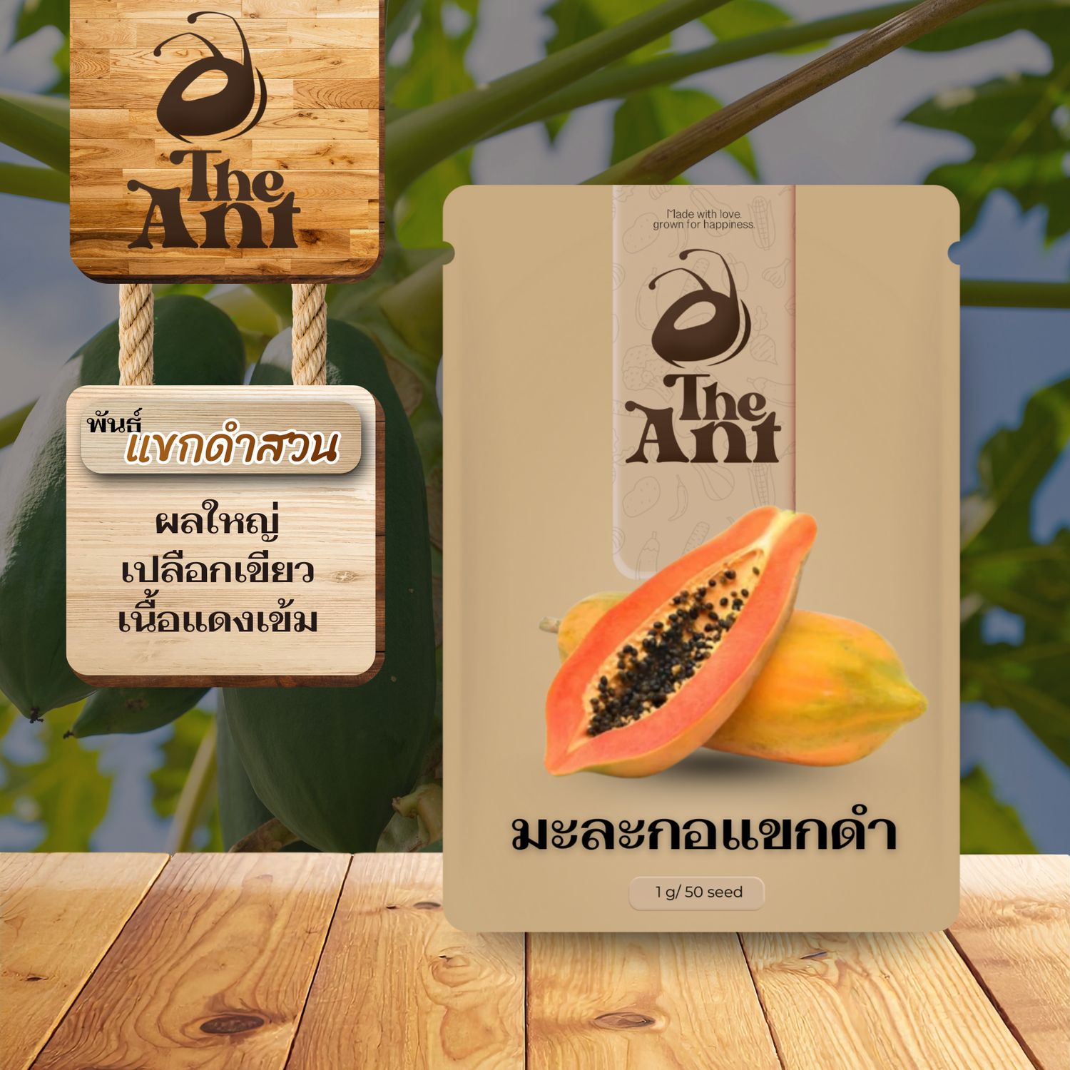 เมล็ดพันธุ์มะละกอแขกดำ แขกดำสวน