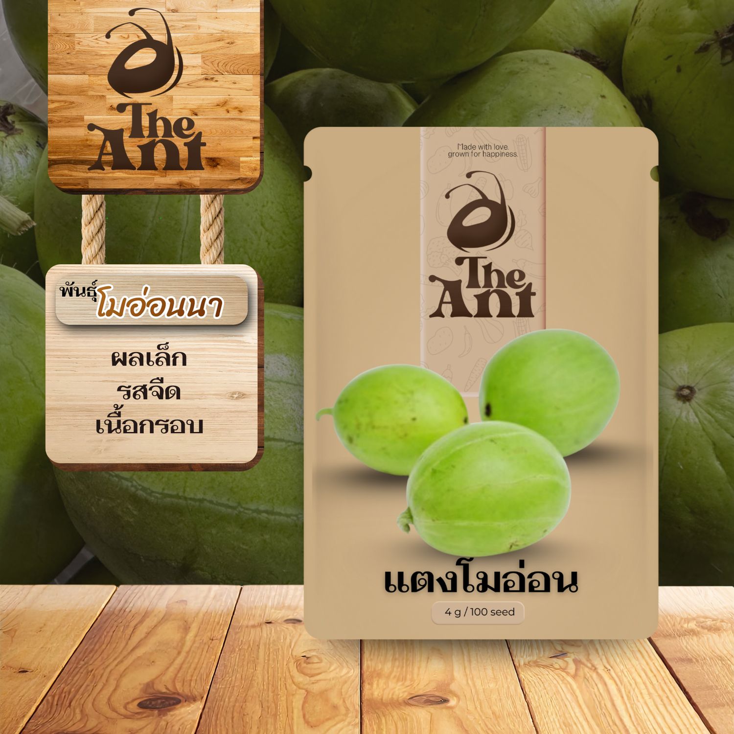 เมล็ดพันธุ์แตงโมอ่อน โมอ่อนนา