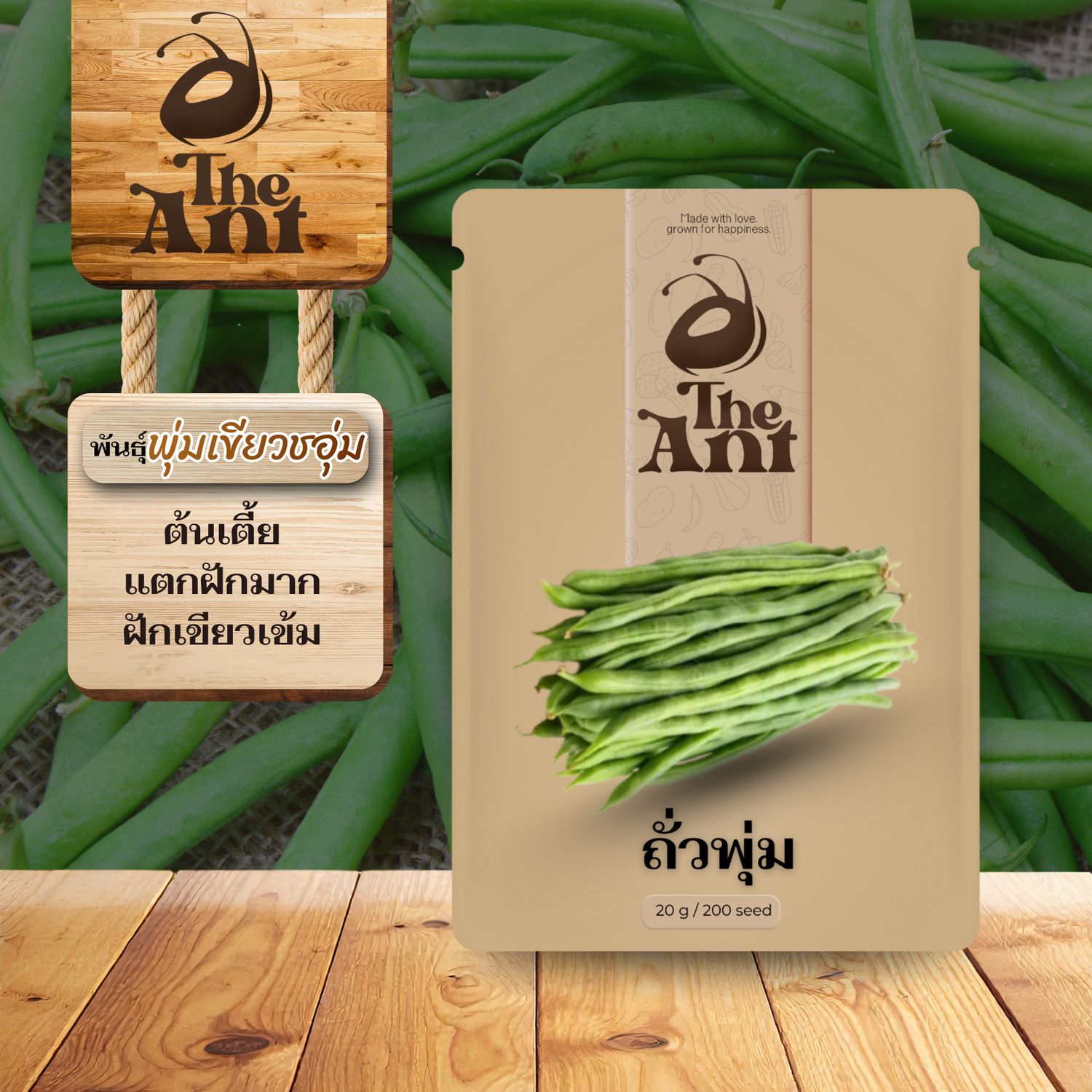 เมล็ดพันธุ์ถั่วพุ่ม พุ่มเขียวชอุ่ม