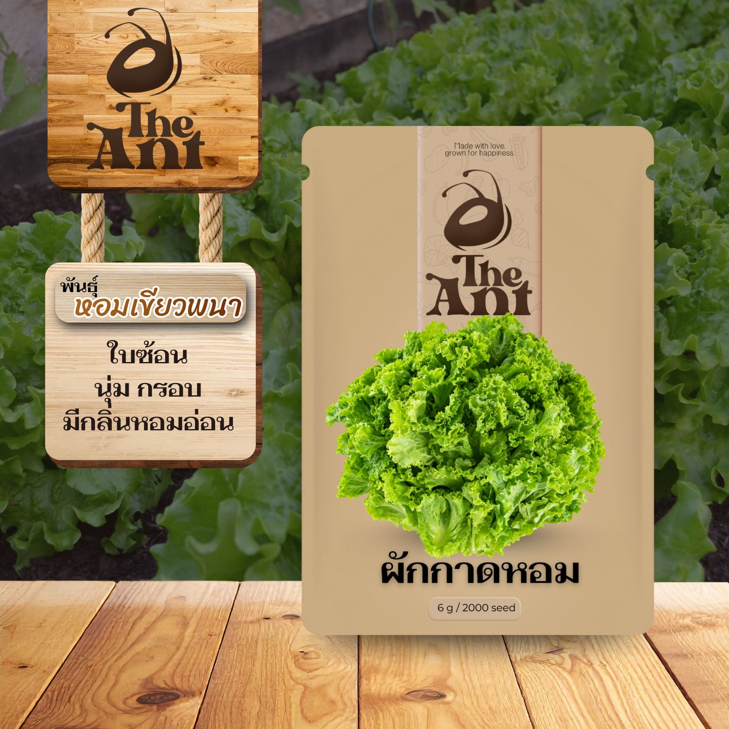 เมล็ดพันธุ์ผักกาดหอม หอมเขียวพนา