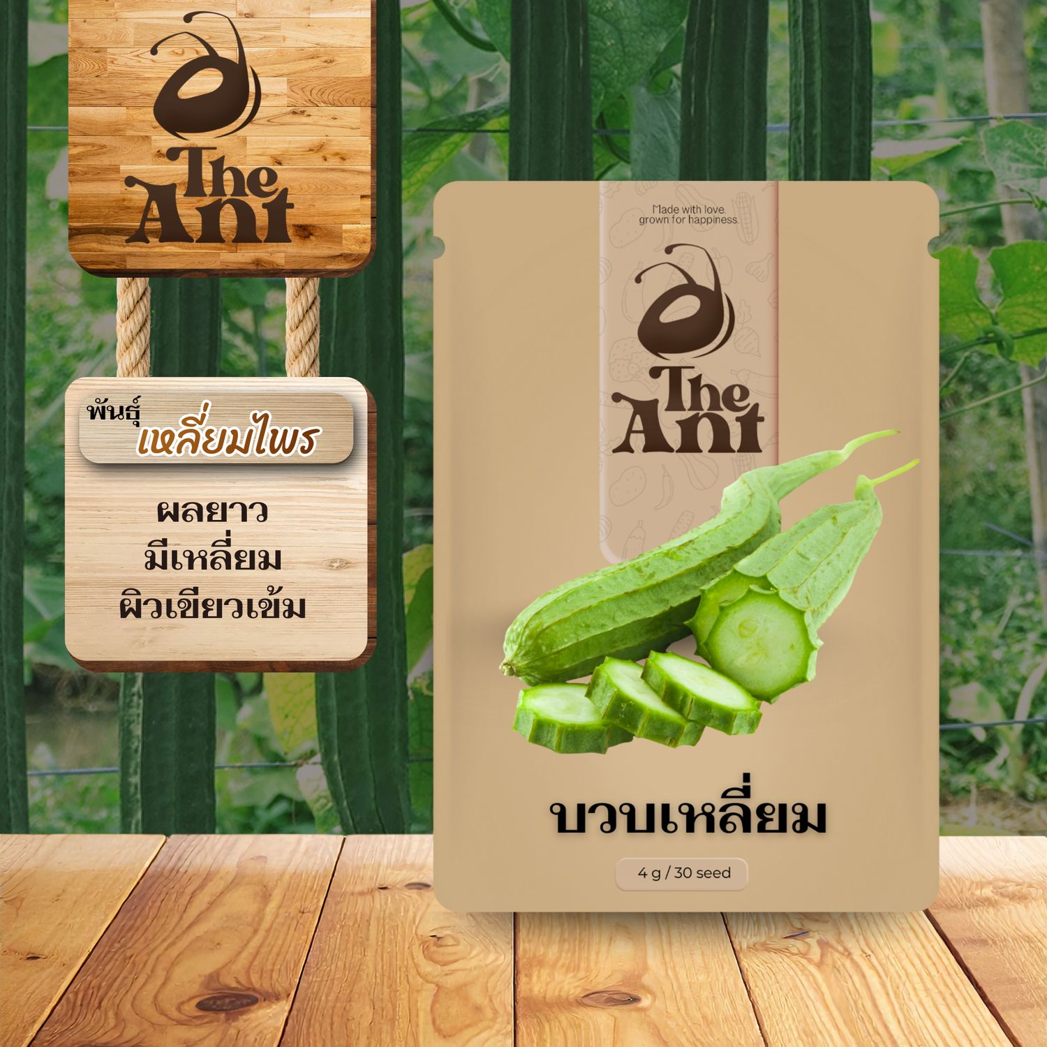 เมล็ดพันธุ์บวบเหลี่ยม เหลี่ยมไพร