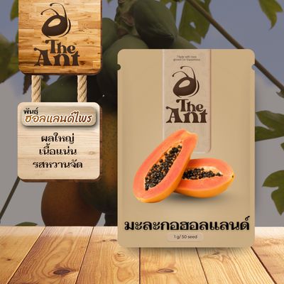 เมล็ดพันธุ์มะละกอฮอลแลนด์