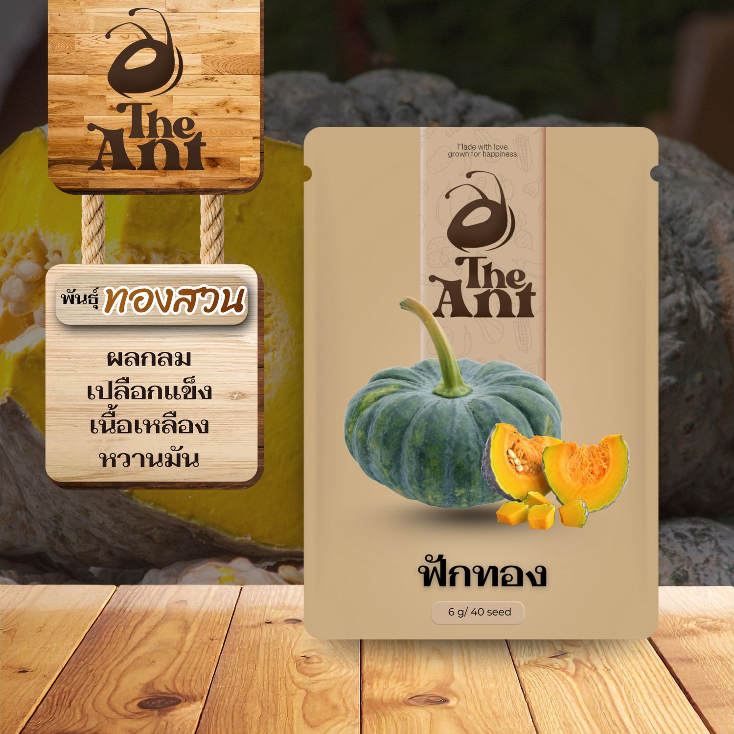 เมล็ดพันธุ์ฟักทอง ทองสวน