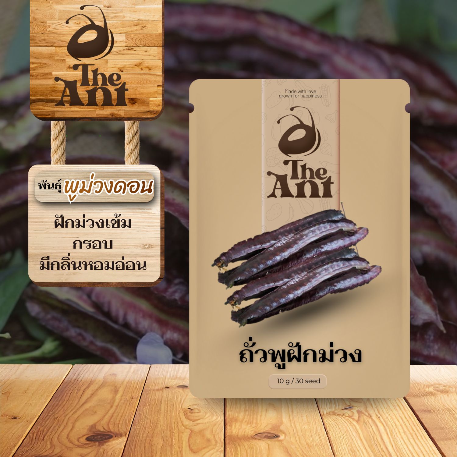 เมล็ดพันธุ์ถั่วพูฝักม่วง พูม่วงดอน