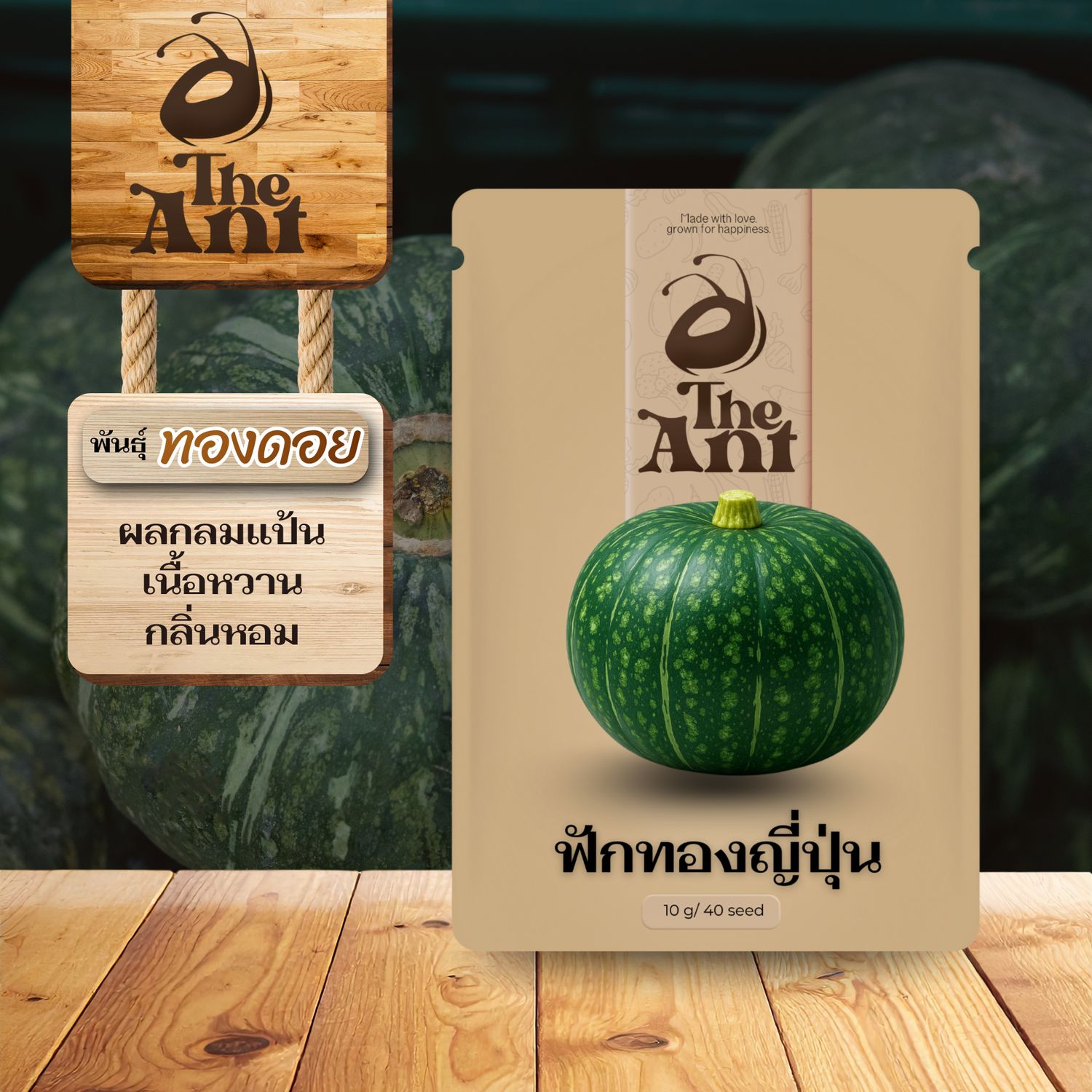 เมล็ดพันธุ์ฟักทองญี่ปุ่น ทองดอย