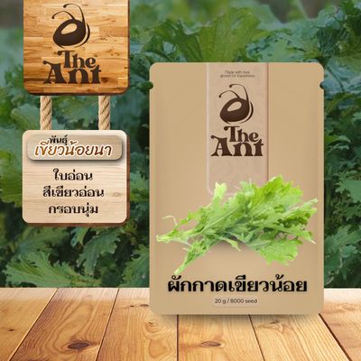 เมล็ดพันธุ์ผักกาดเขียวน้อย