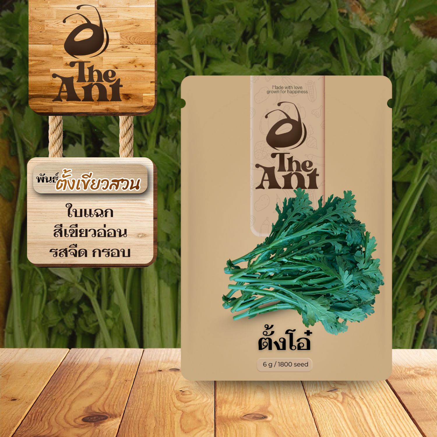 เมล็ดพันธุ์ตั้งโอ๋ ตั้งเขียวสวน