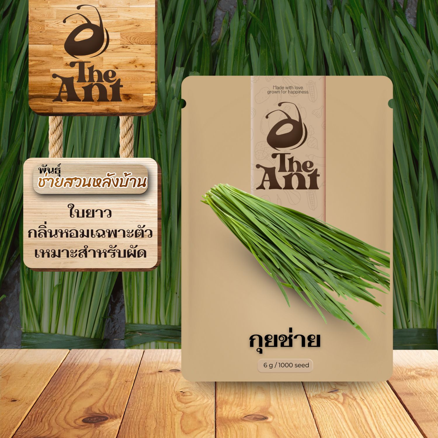 เมล็ดพันธุ์กุยช่าย