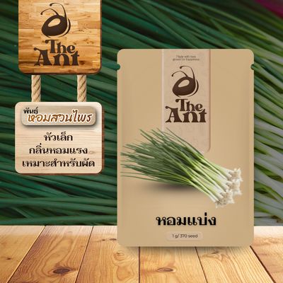 เมล็ดพันธุ์หอมแบ่ง