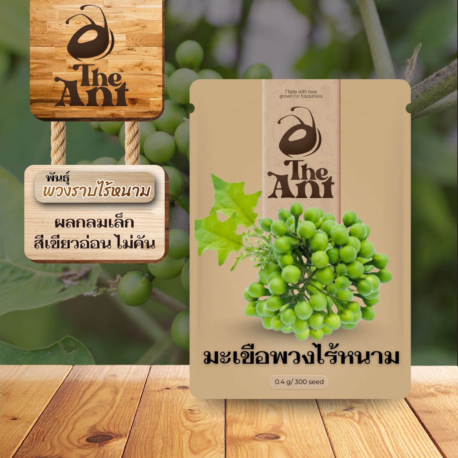 เมล็ดพันธุ์มะเขือพวงไร้หนาม พันธุ์พวงราบ 