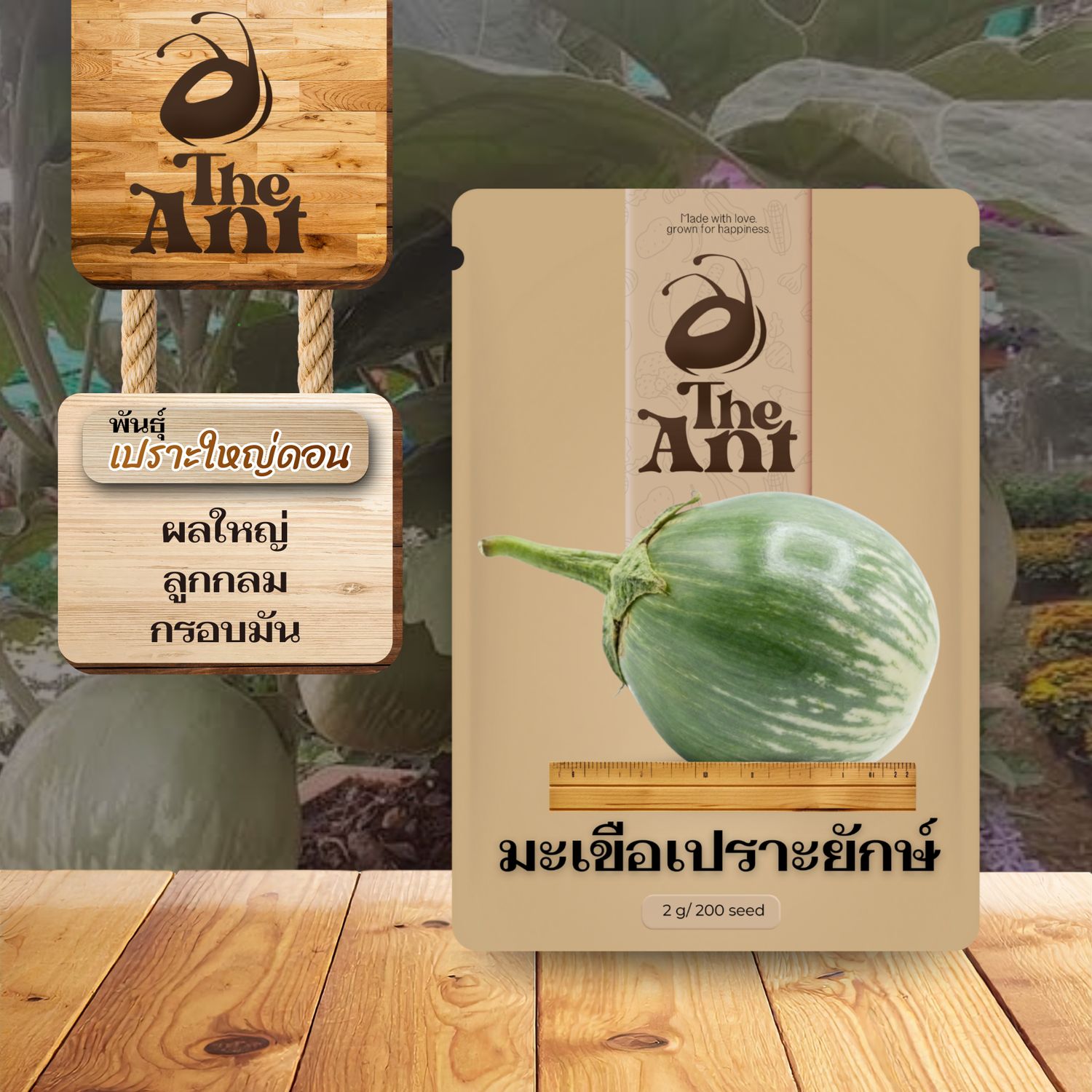 เมล็ดพันธุ์มะเขือเปราะยักษ์ เปราะใหญ่ดอน