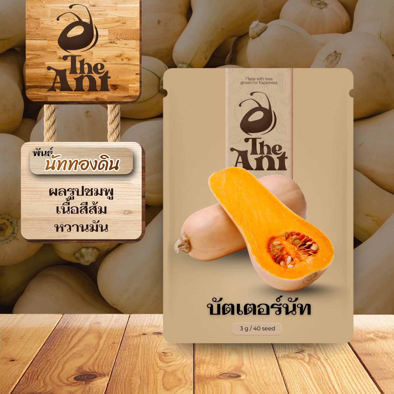 เมล็ดพันธุ์บัตเตอร์นัท นัททองดิน