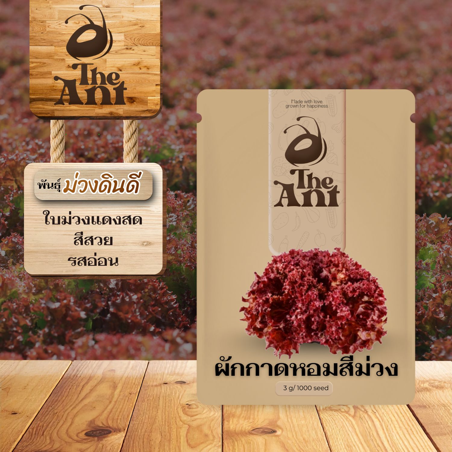 เมล็ดพันธุ์ผักกาดหอมสีม่วง ม่วงดินดี