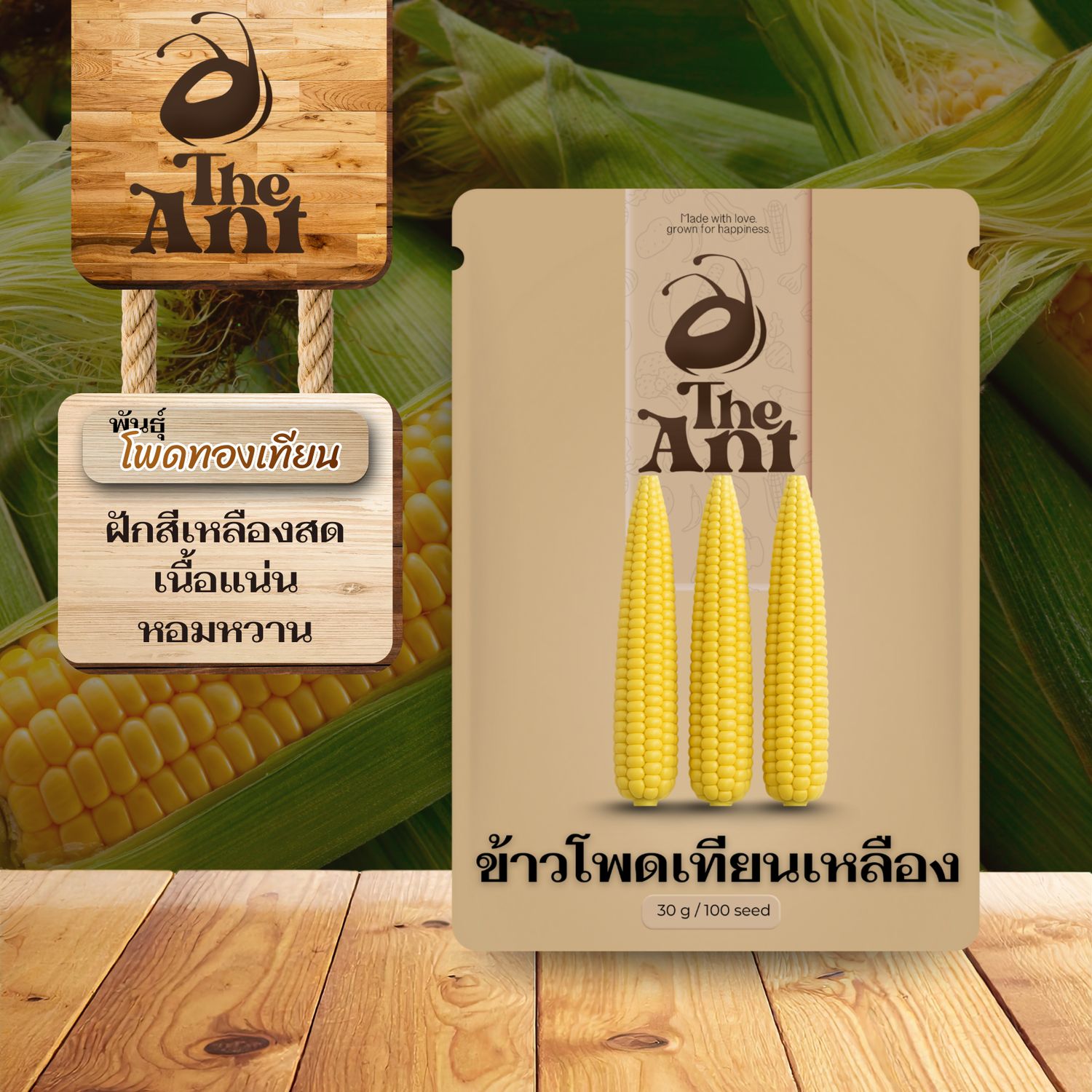 เมล็ดพันธุ์ข้าวโพดเทียนเหลือง โพดทองเทียน