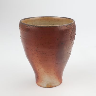 Avi Farber, Cup