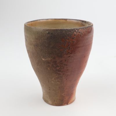 Avi Farber, Cup