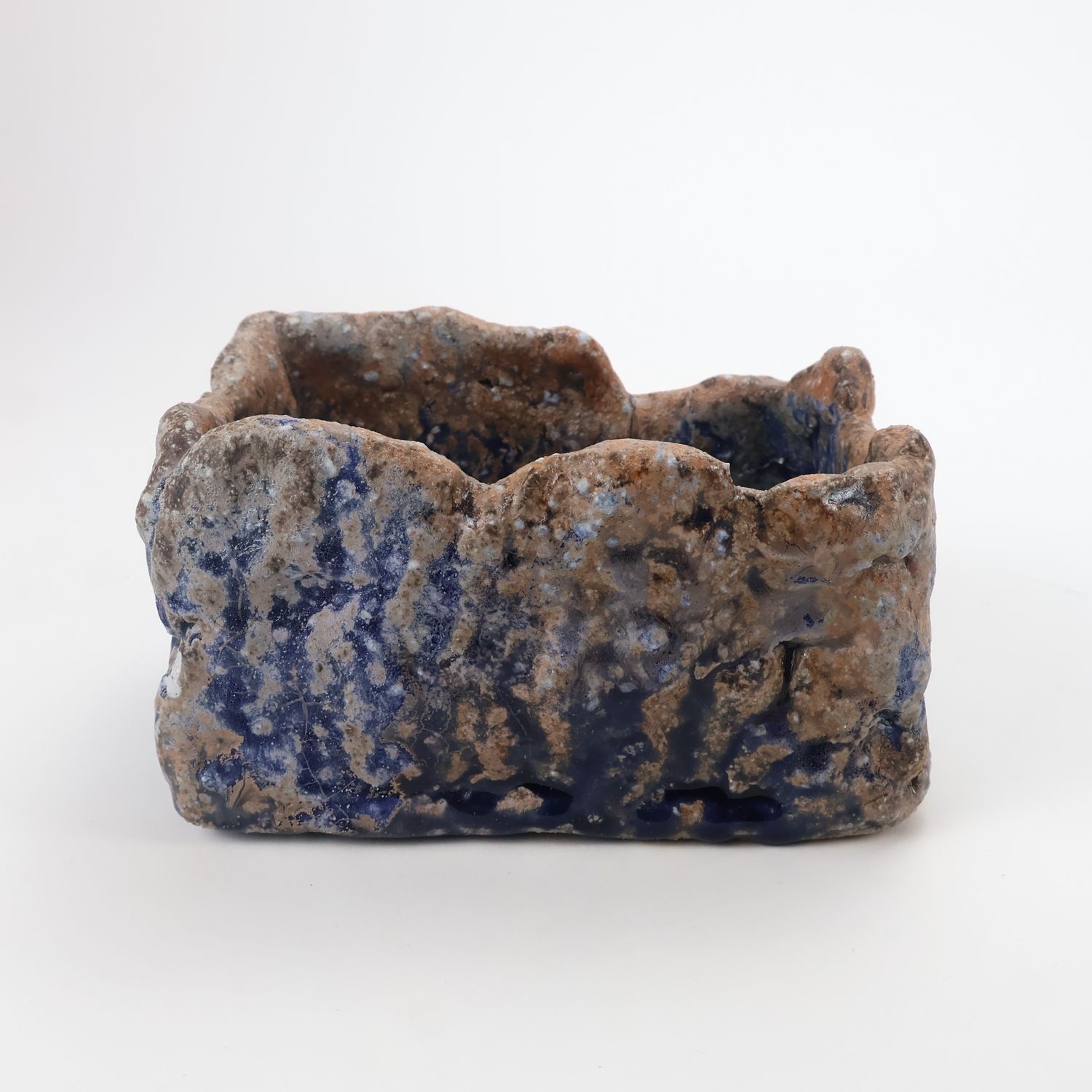 Dante Gambardella, Blue Basket