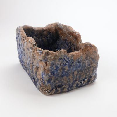 Dante Gambardella, Blue Basket