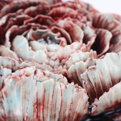 Heesoo Lee, Peony Passion