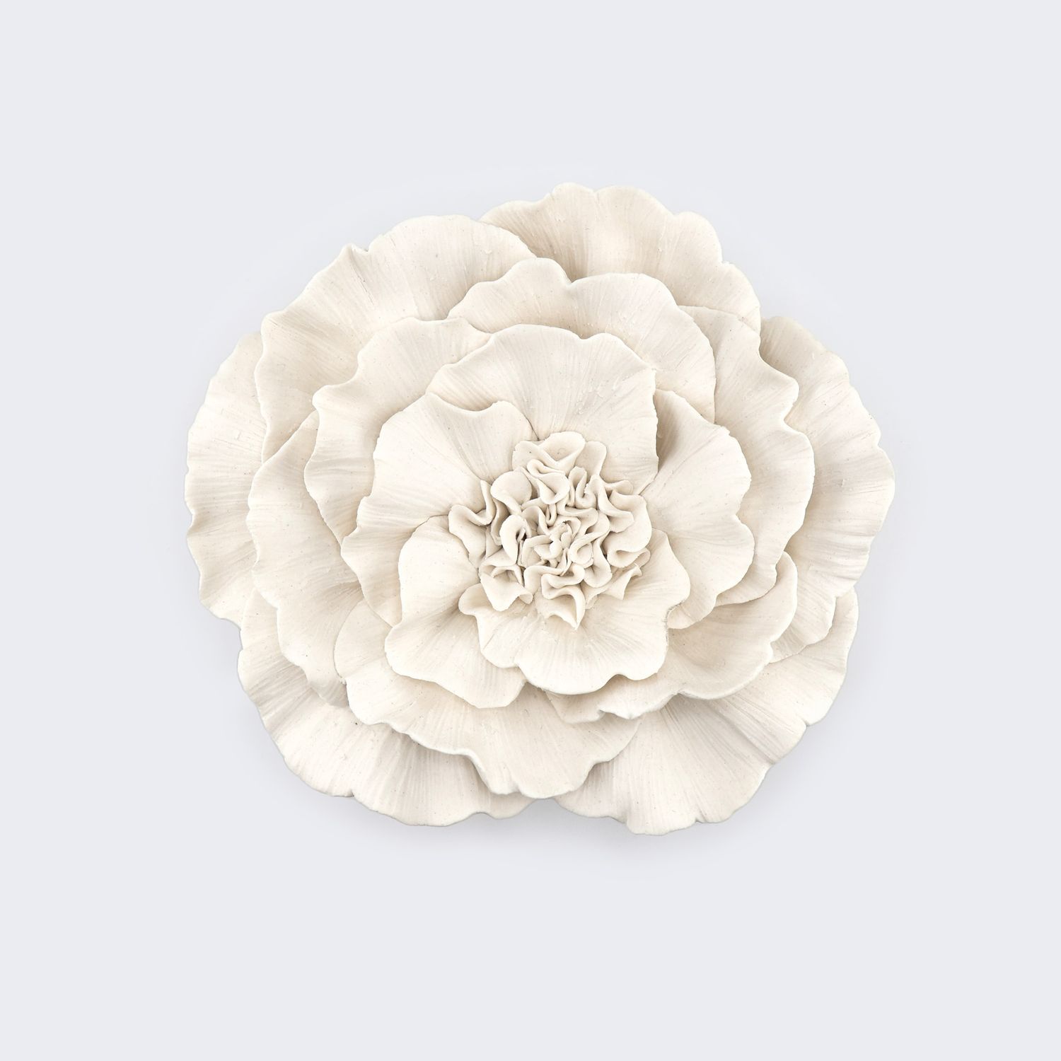 Carla Potter, Peony, 6.5"