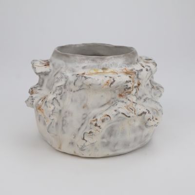 Jason Lee Starin, Pot, S, 4