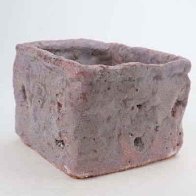 Dante Gambardella, Purple Box