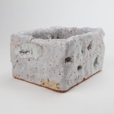 Dante Gambardella, White Box