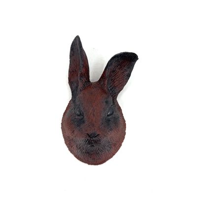 Crista Ann Ames, Pygmy Rabbit Head, 3
