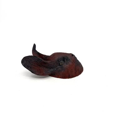 Crista Ann Ames, Pygmy Rabbit Head, 3