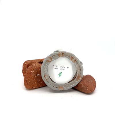 Shea Burke, Frame Ornament, 14