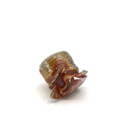 T Clennell, Whiskey on the Rocks, 6