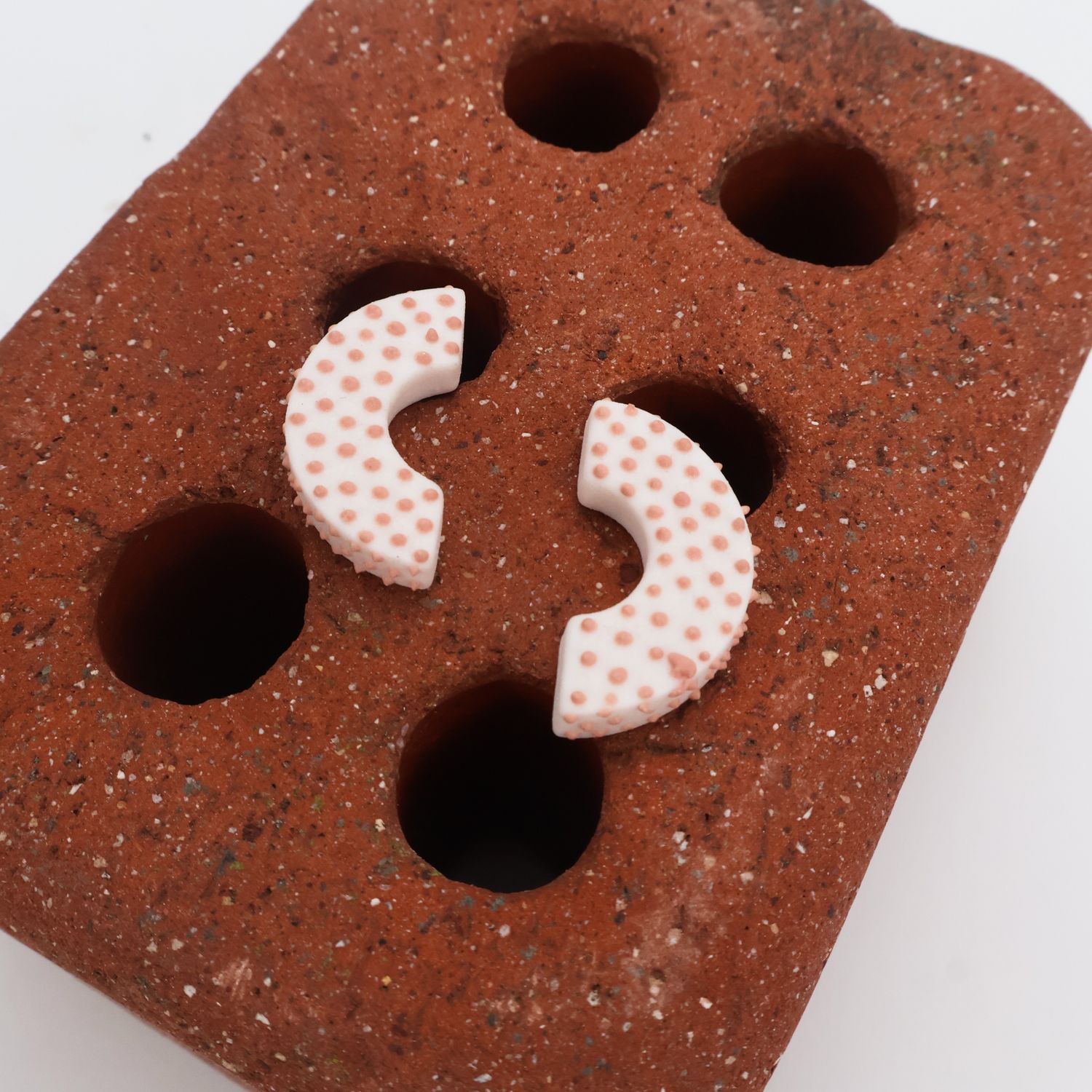 Iva Haas Pink Polka Dot C Posts