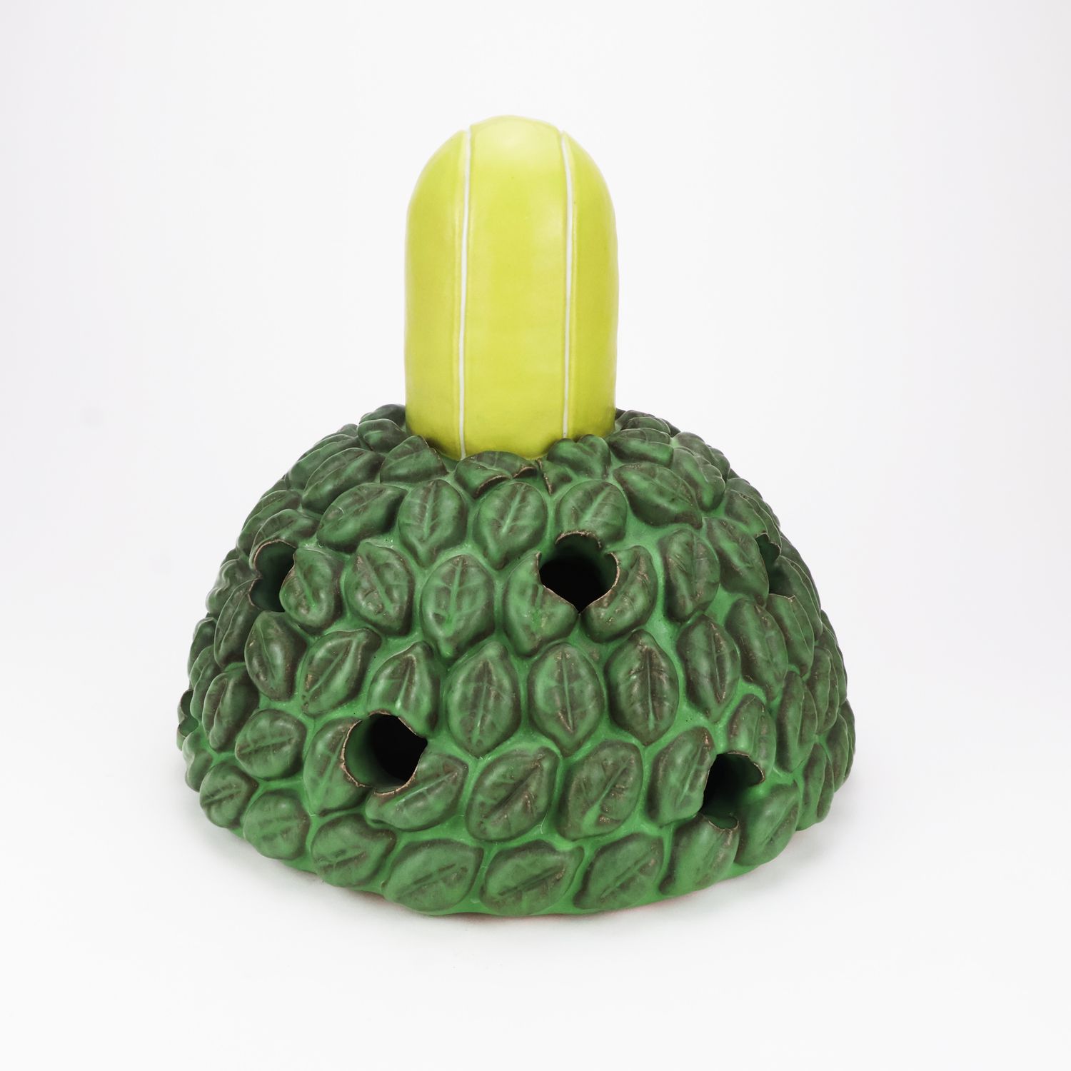 Kaitlin Smrcina, Tennis Ball in Round Bush